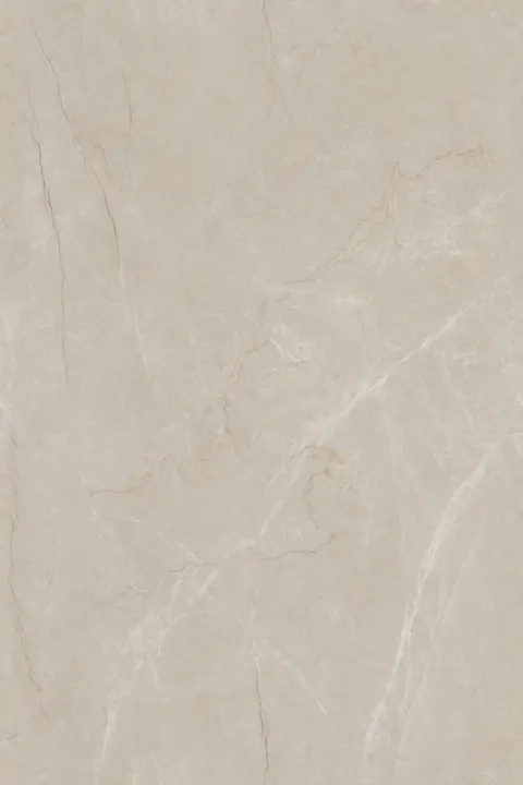 FRENCH BOTTOCHINO GREY